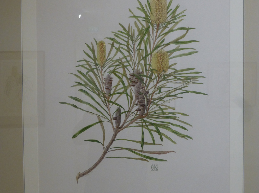 Hamilton Gallery-哈密尔顿必去景点