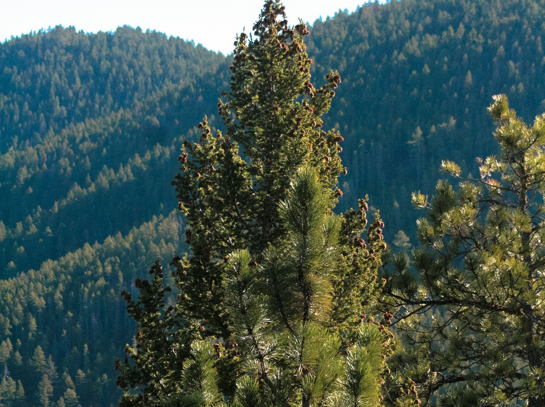 Judith Mountain Lodge主图