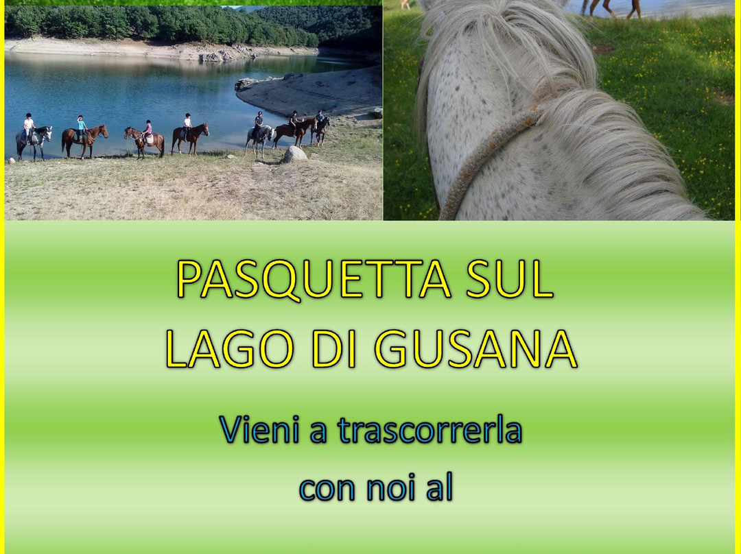 Centro Equestre Taloro-Fonni必去景点