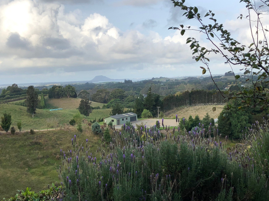 The French Country House主图