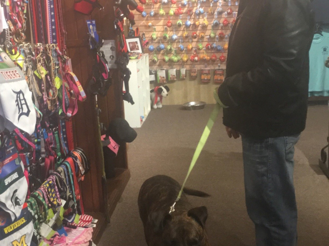 Decadent Dogs-南黑文必去景点