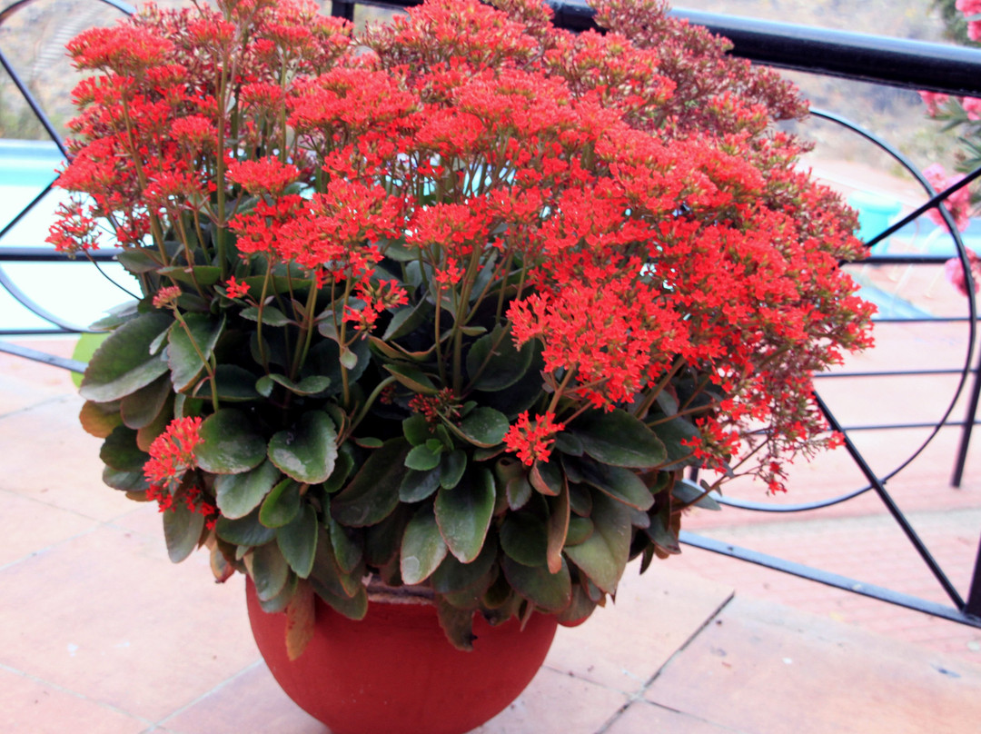 MPT Marble Rocks - Bhedaghat主图