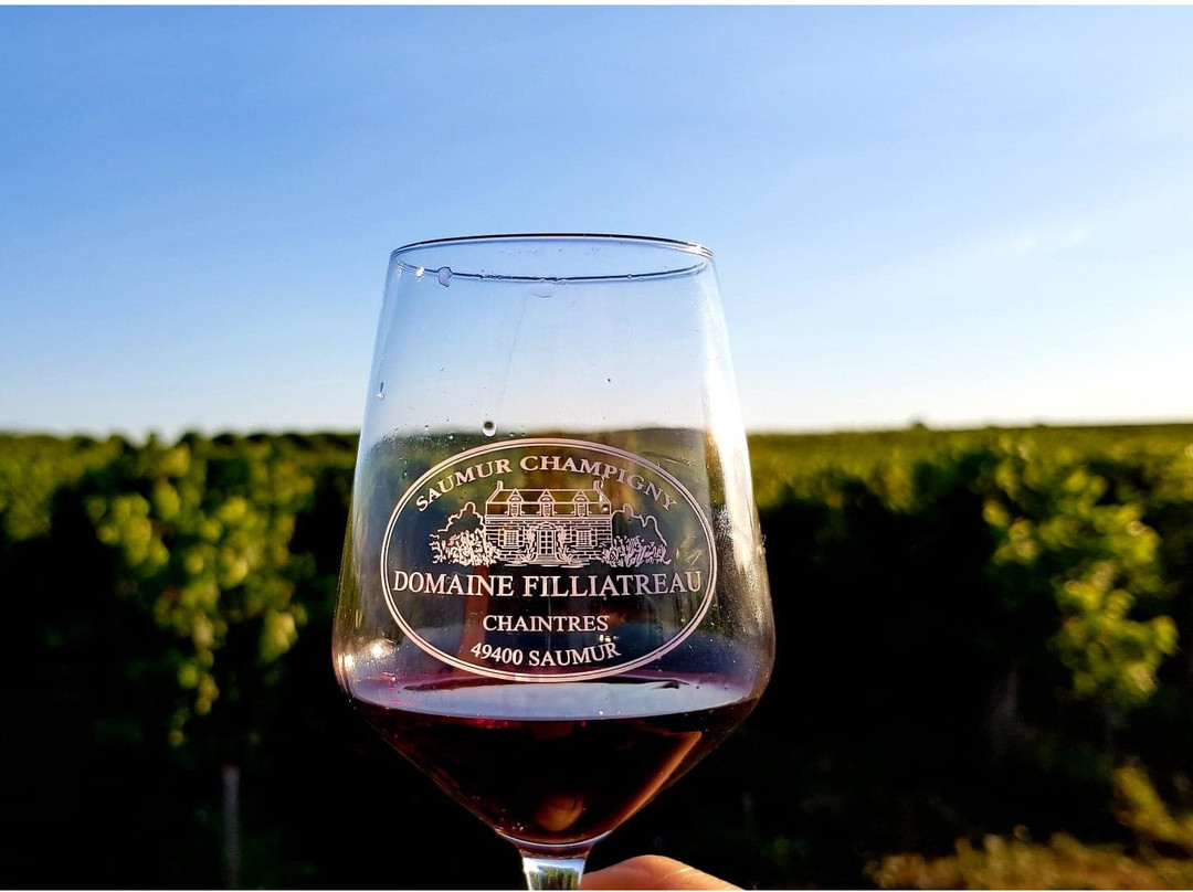 Domaine Filliatreau-Turquant必去景点