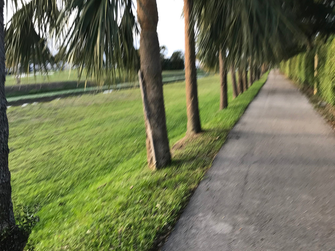 El Rio Trail-博卡拉顿必去景点