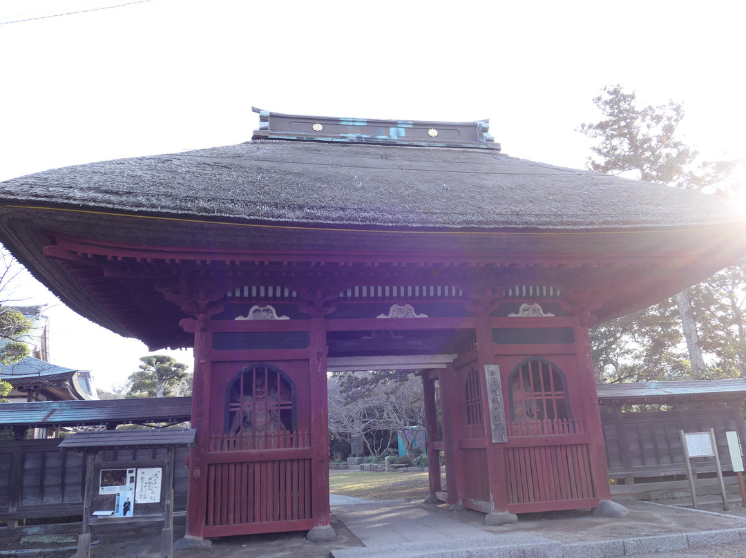 Taito Seaside Plant Community Land-夷隅市必去景点