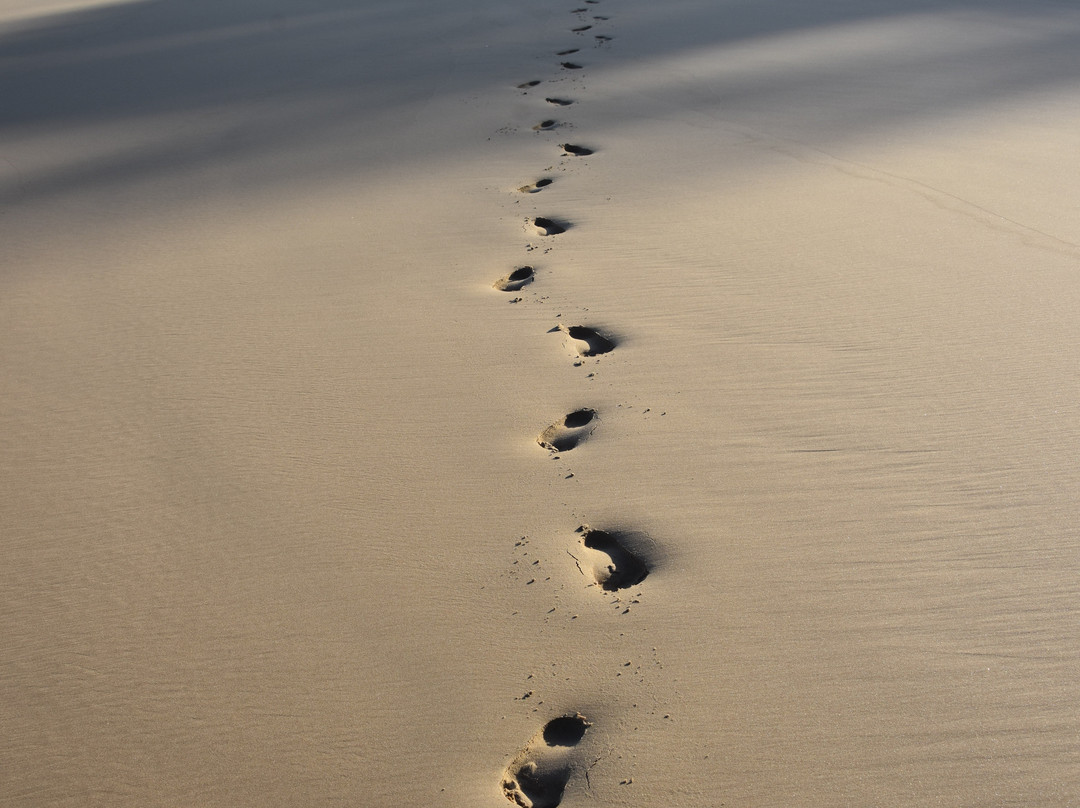 Crawford's Beach Lodge主图
