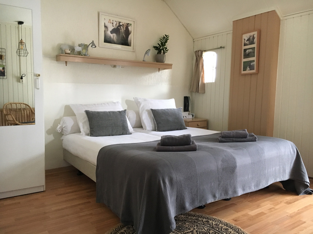 B&B Triënte & Appartementen主图