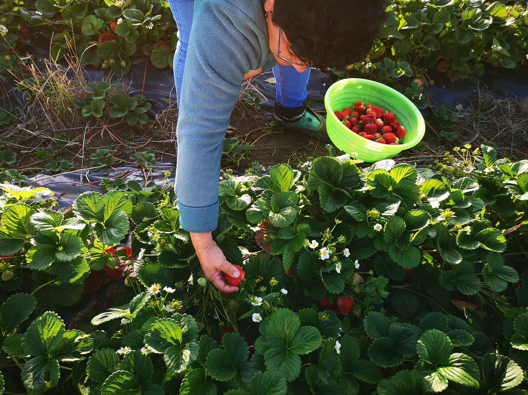 Eco Hospedaje Pinguineras主图