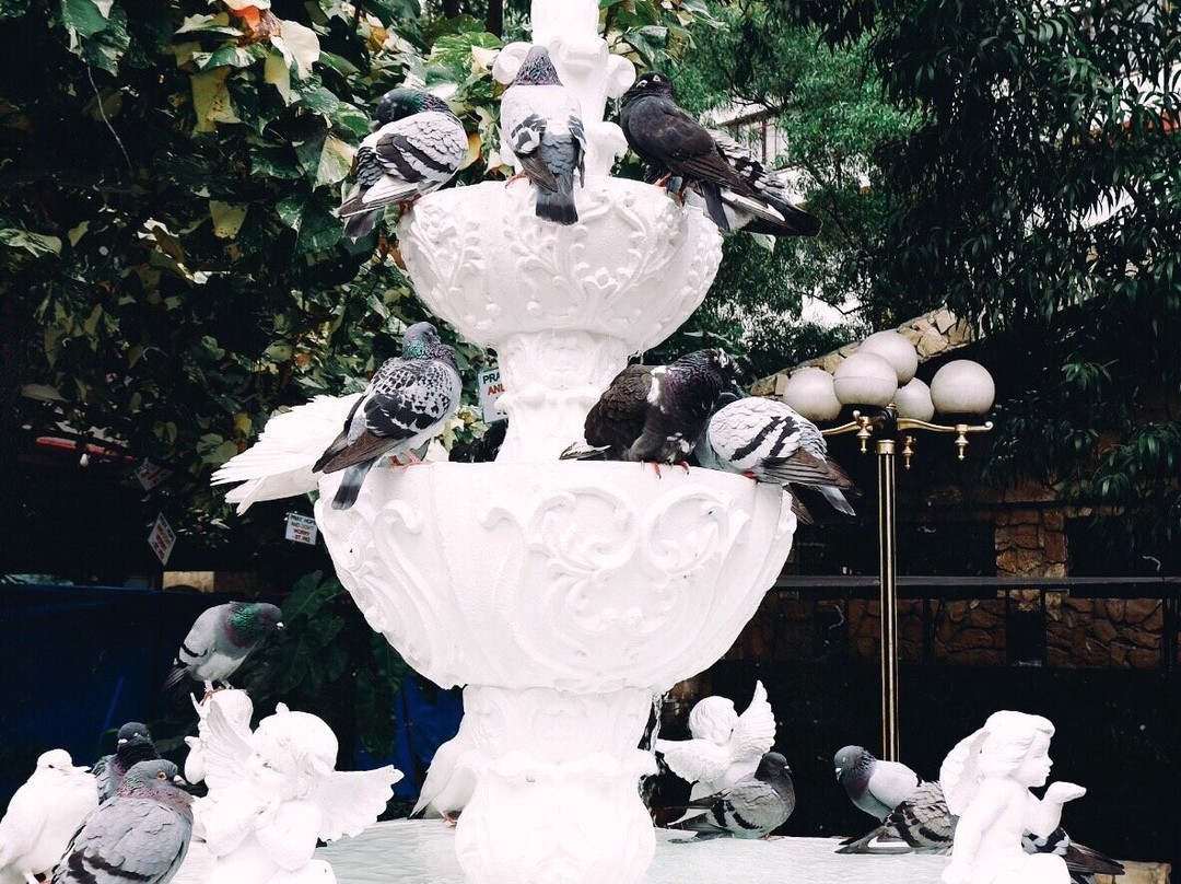 St. Pio Chapel-奎松市必去景点