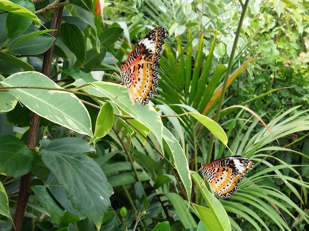 La Casa delle Farfalle-Ragusa CIty必去景点
