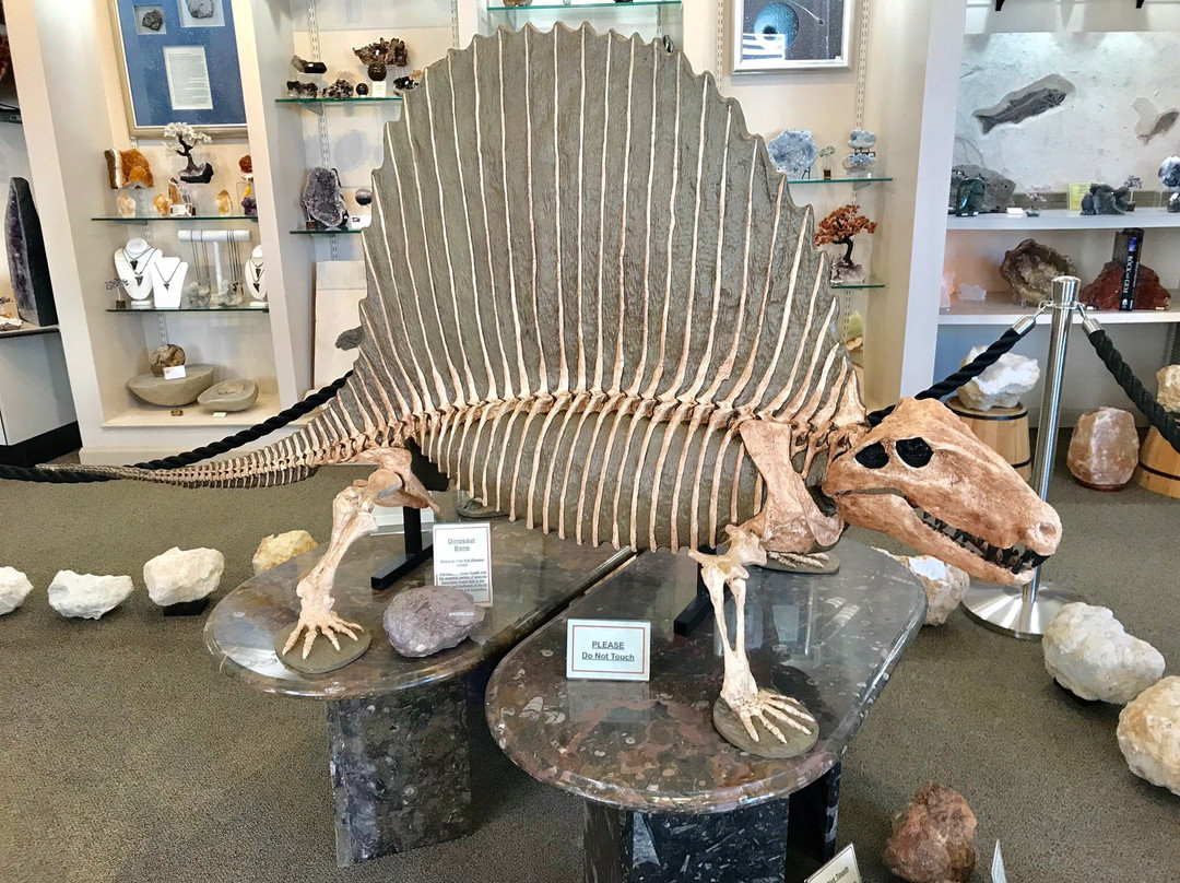 Stoneworks Lapidary-里霍博斯比奇必去景点