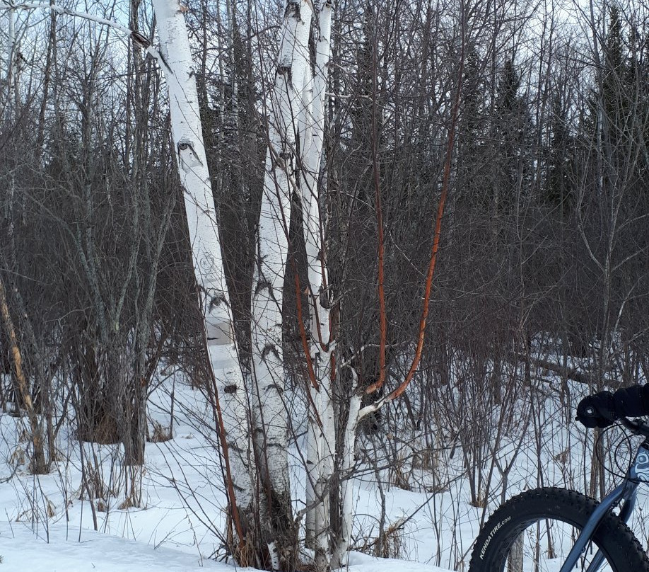 Cataraqui Trail景点图片