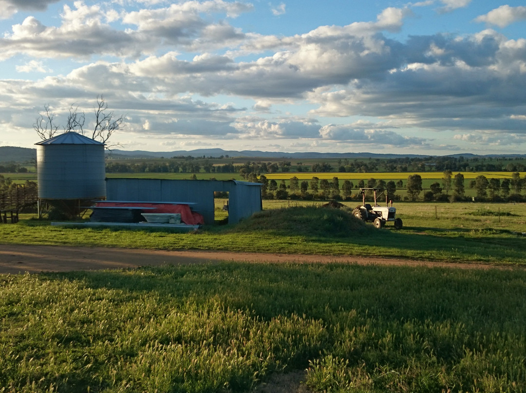 Rosnay Organic Wines of Australia-Canowindra必去景点