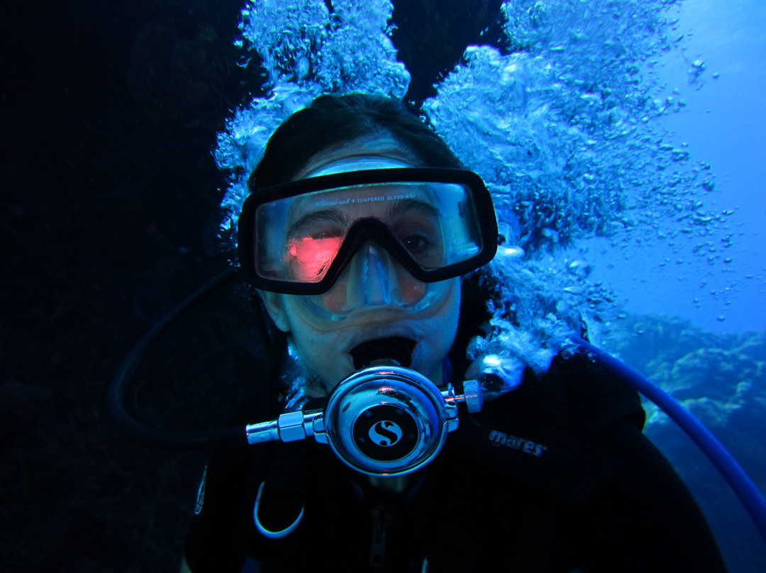 Manati Divers-图伦必去景点