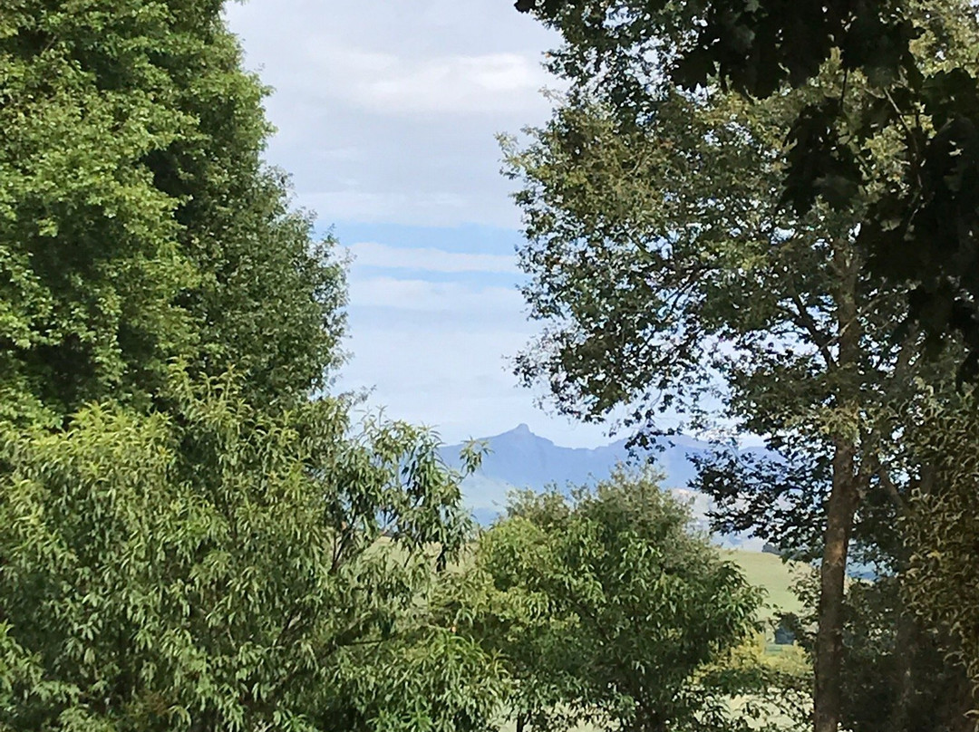 Yellowwood Cottage主图