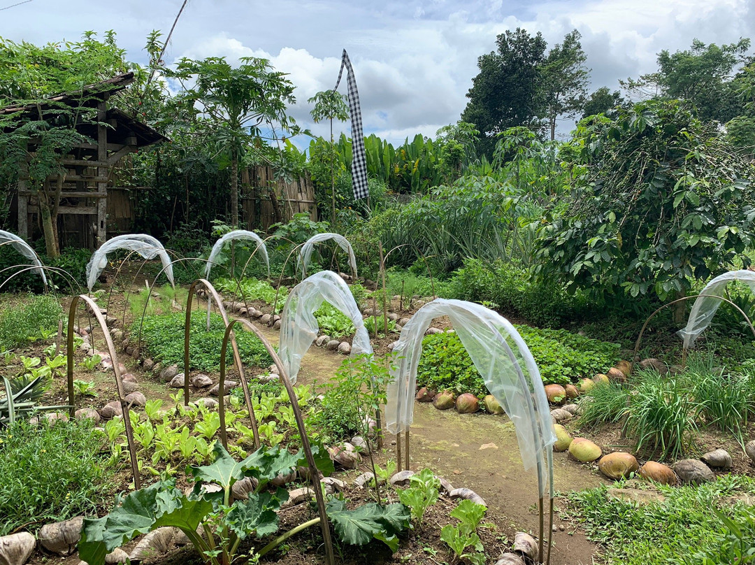 The Organic Farm & Cafe Bali-Angsri必去景点