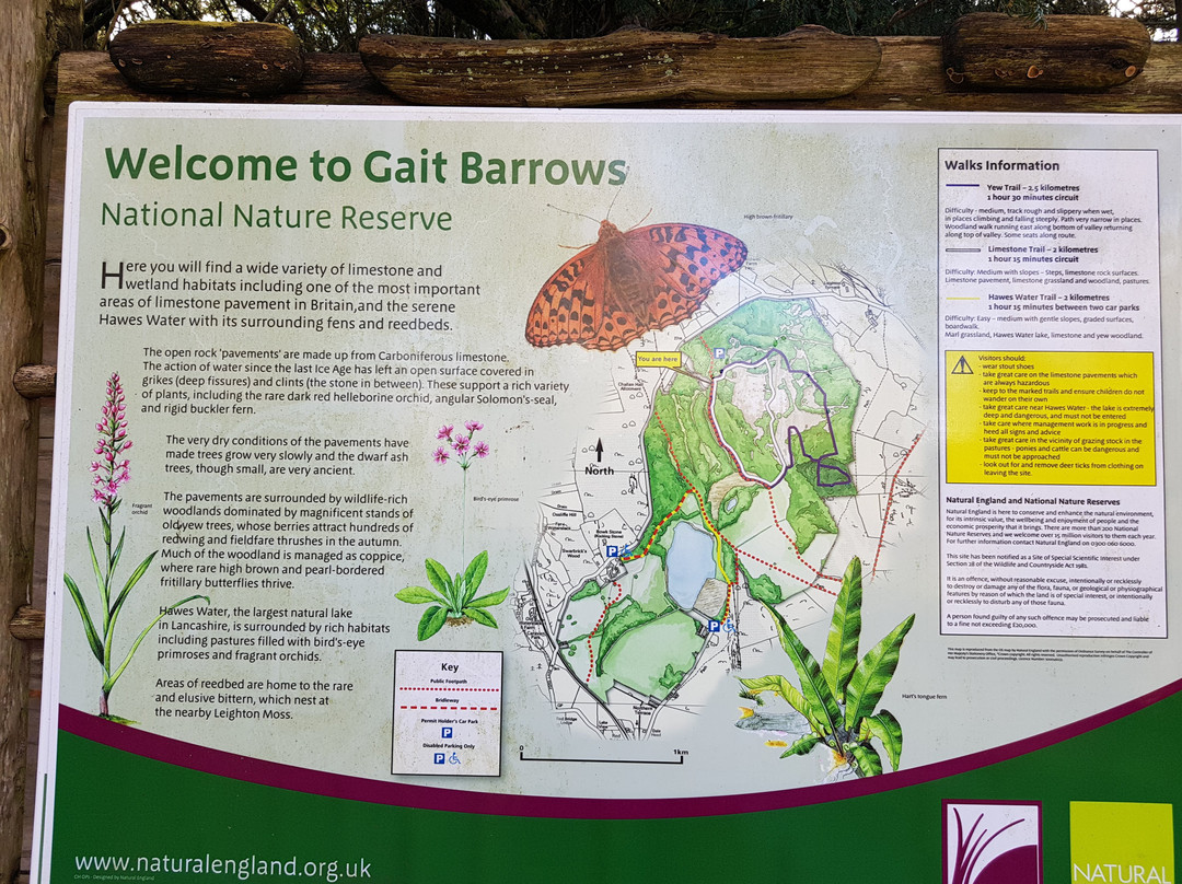 Gait Barrows National Nature Reserve-Silverdale必去景点