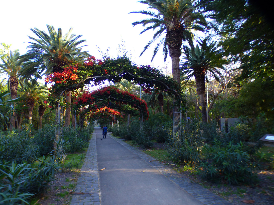Parque Garcia Sanabria景点图片