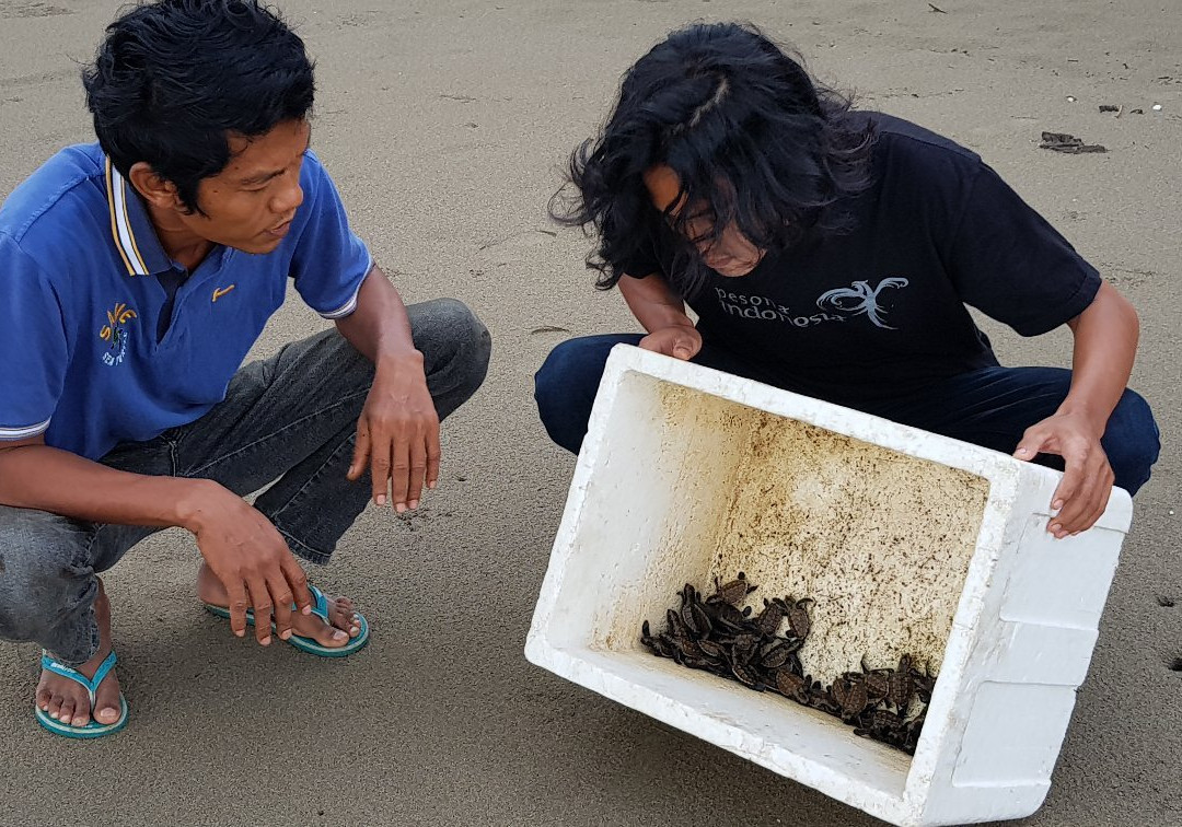 Jambak Sea Turtle Camp-巴东必去景点