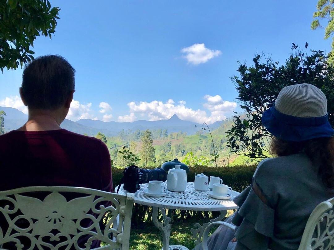 总督府酒店主图