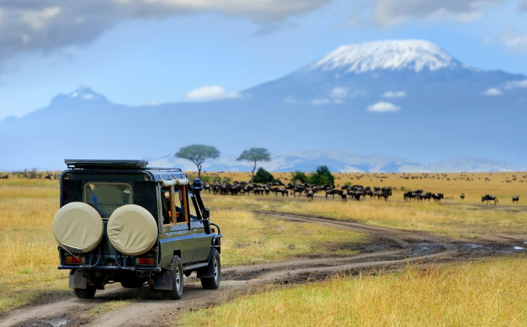 AstazTravel-桑给巴尔市必去景点