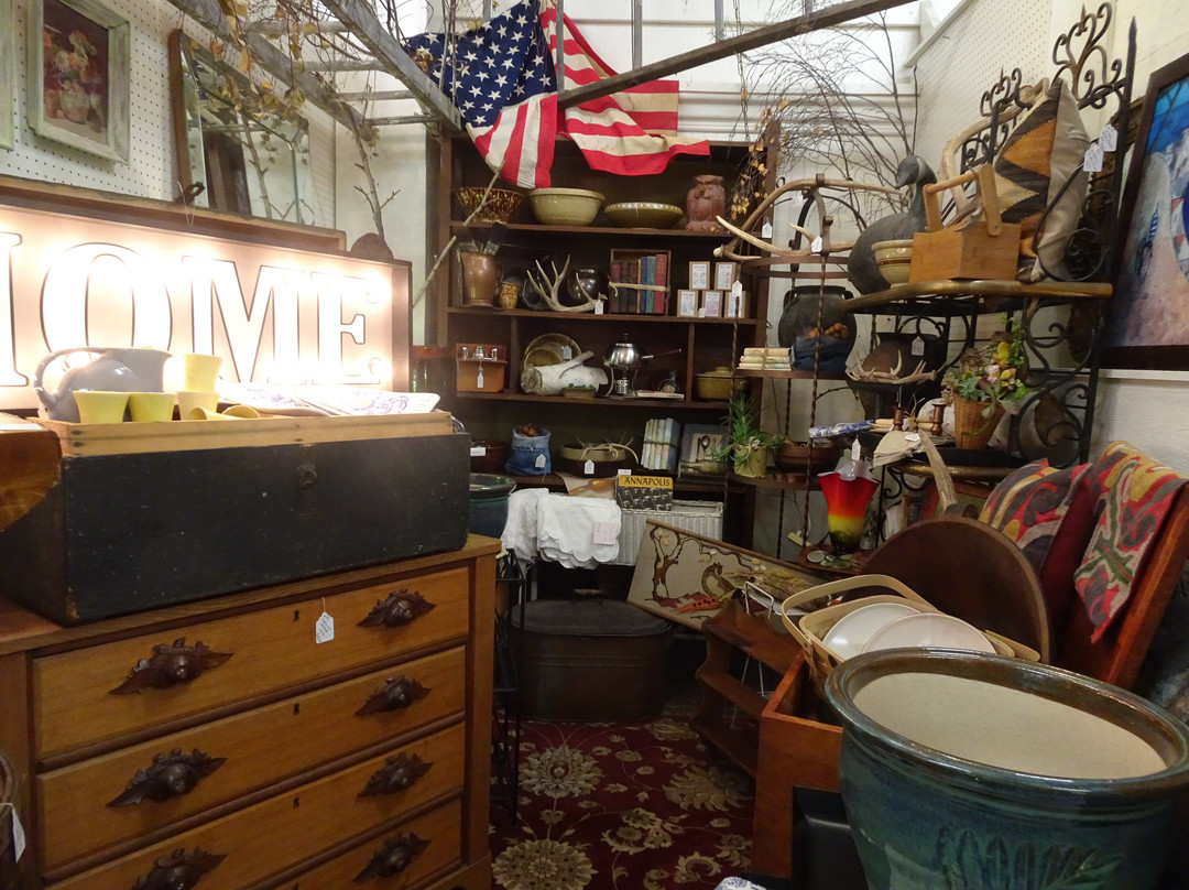 Ocean Tide Interiors (formerly Olde Ivy Antiques)-卡尔斯巴德必去景点