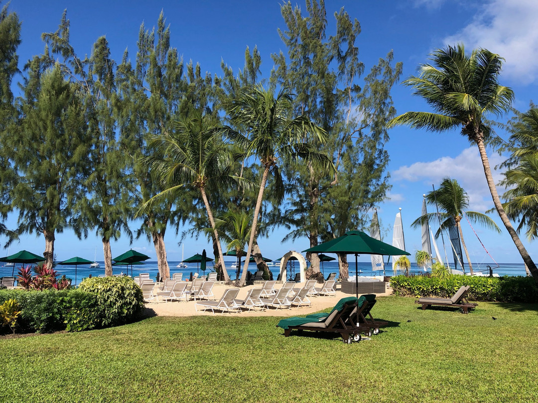 Coral Reef Club主图