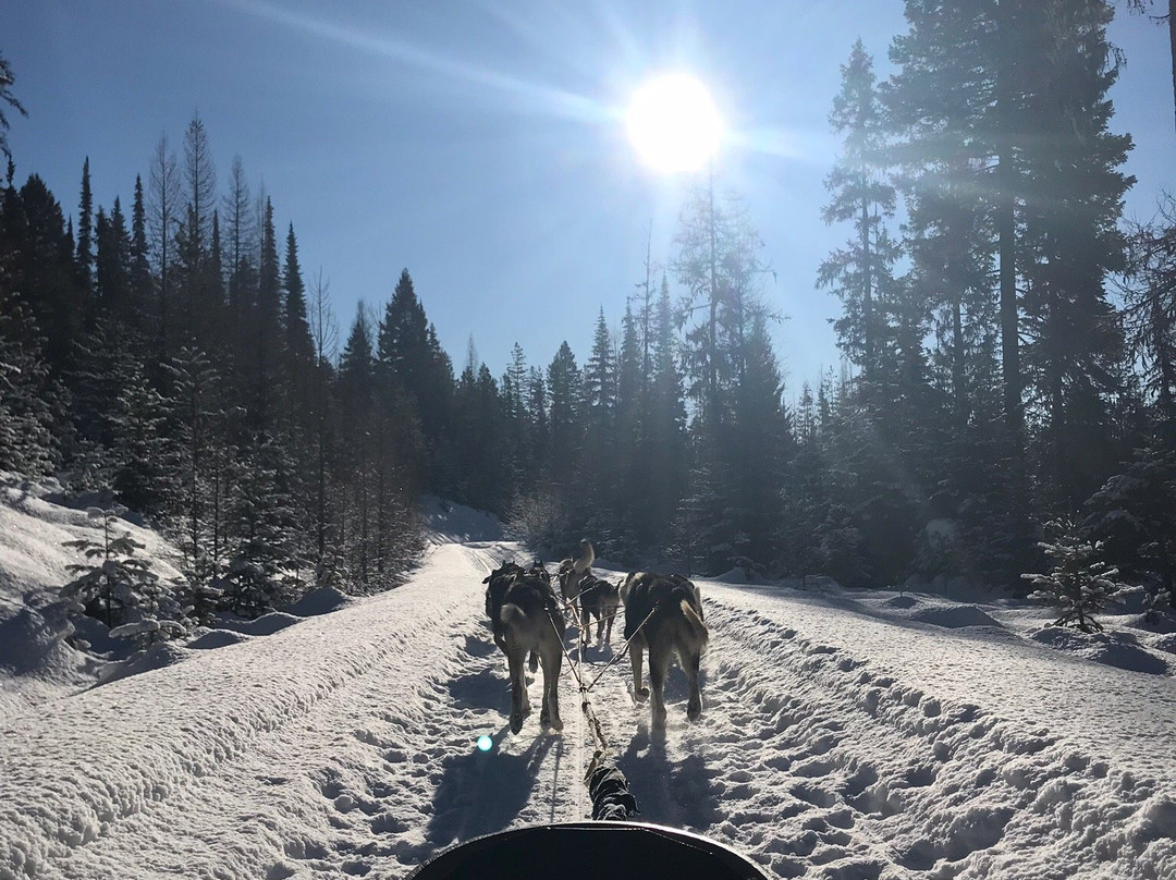 Dog Sled Adventures-Olney必去景点