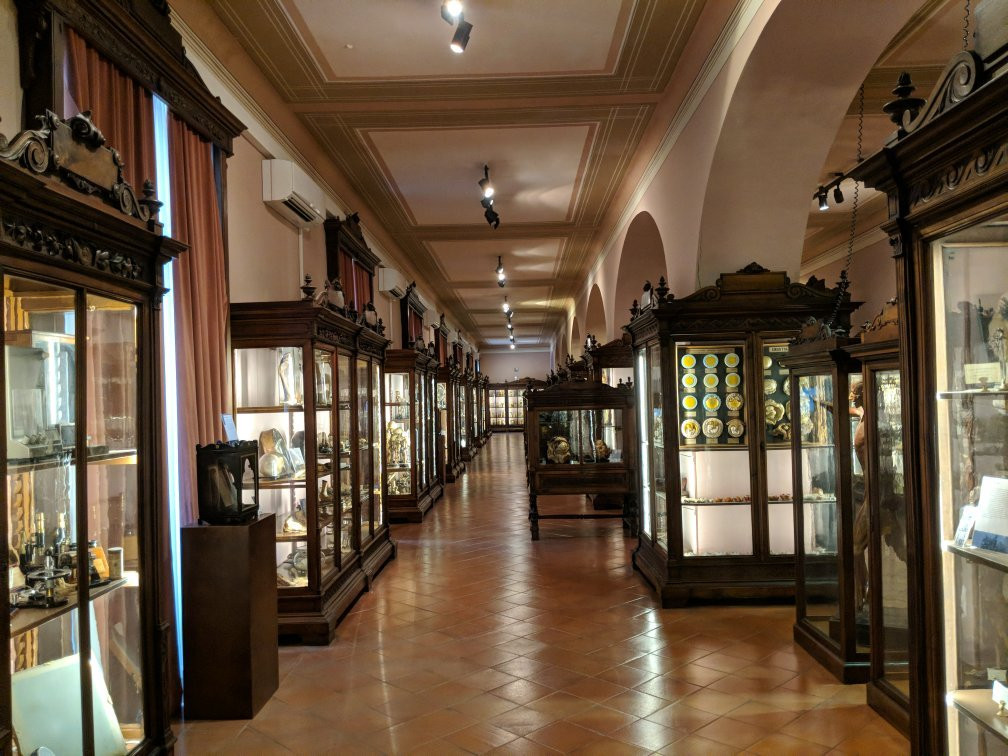 MUSA - Museo Universitario delle Scienze e delle Arti景点图片