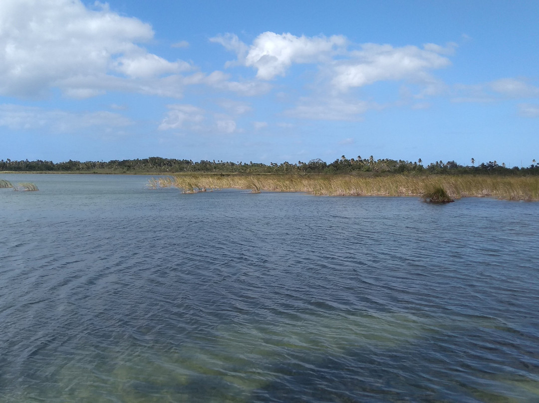 Laguna Tortuguero景点图片