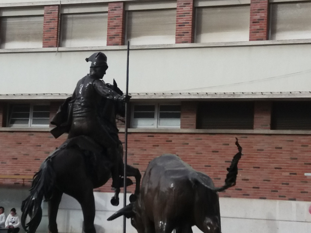 Monumento ao Campino景点图片