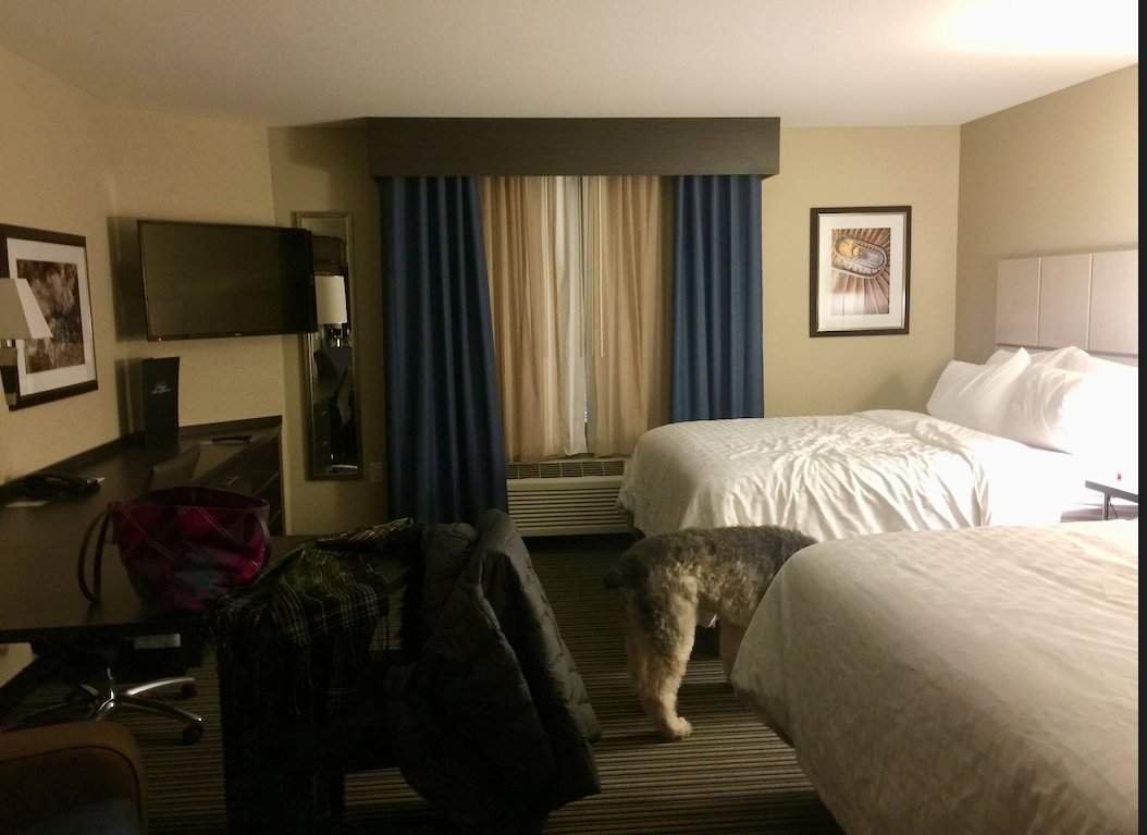 Candlewood Suites Eau Claire I-94 By IHG-官方