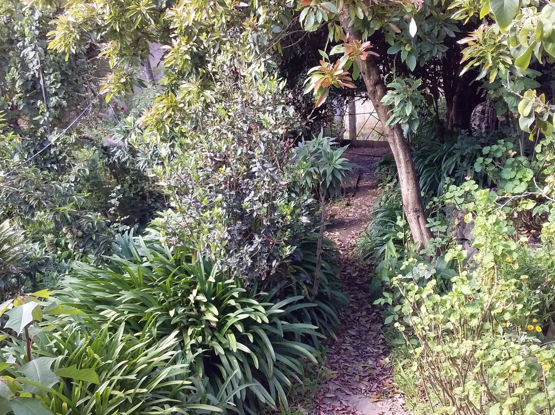 Residencial Sorata主图