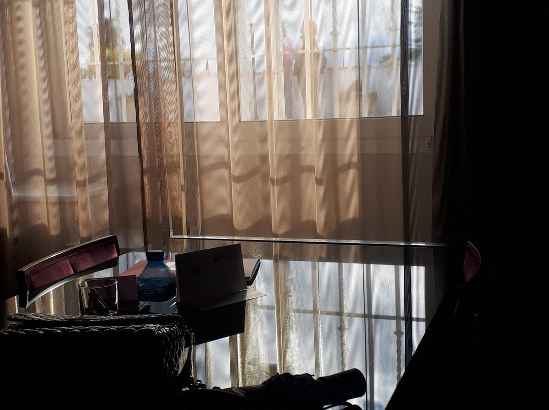 欧洲之星阿德尔法斯酒店主图