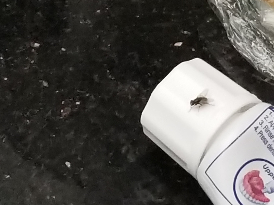 Best Western Lake Okeechobee主图