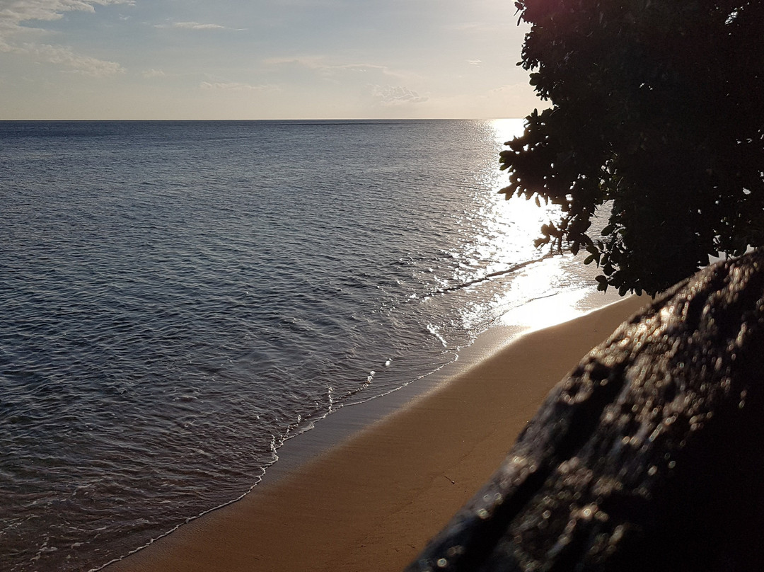 Strand Pension House and Beach Resort主图