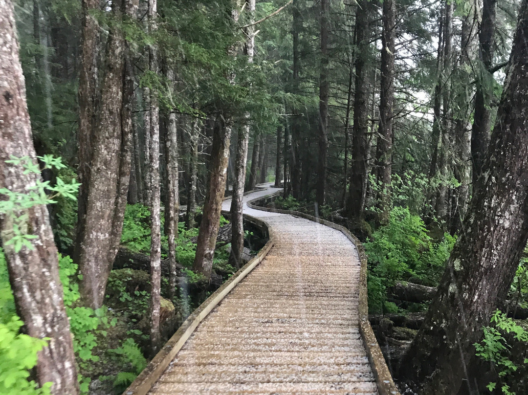 Nordic House Bed & Breakfast主图