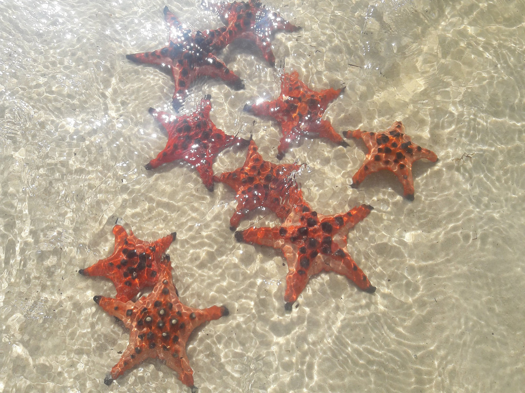 Floating Village Rach Vem-扬东必去景点