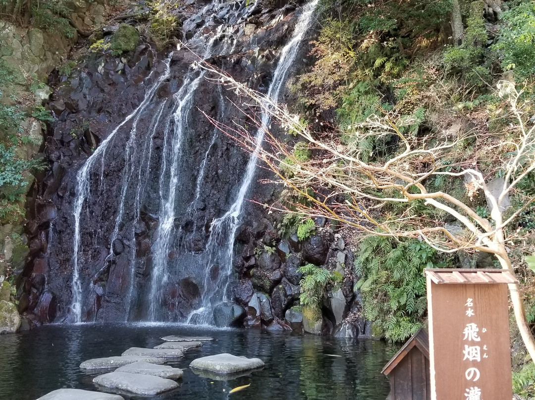 Tamadare Falls / Hien Falls-箱根町必去景点