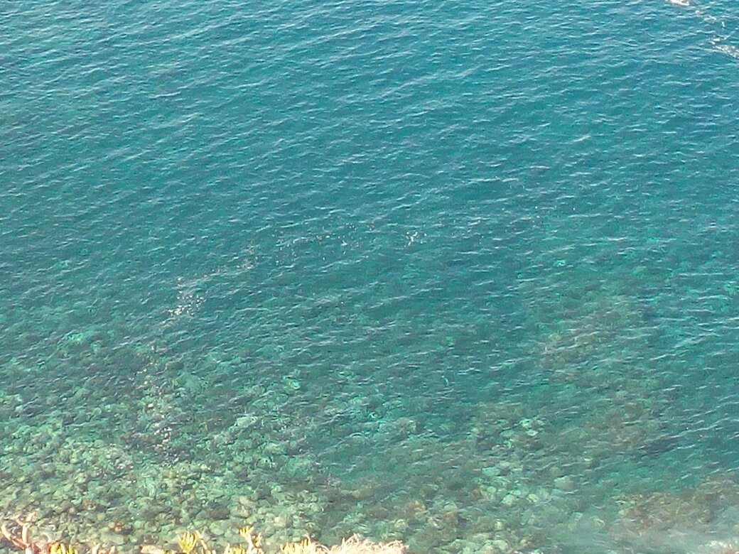 El Pris-圣克鲁斯-德特内里费必去景点