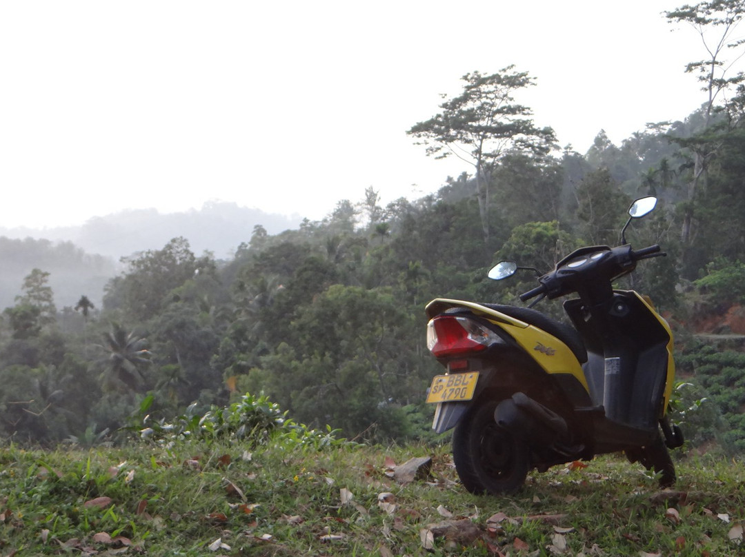 Sinharaja Green Homestay主图