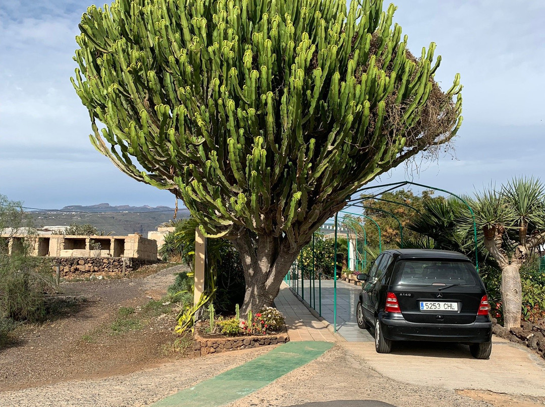 Aloe Park景点图片