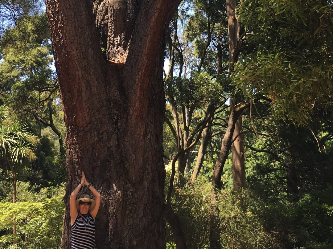 The Garden of St Erth-Blackwood必去景点