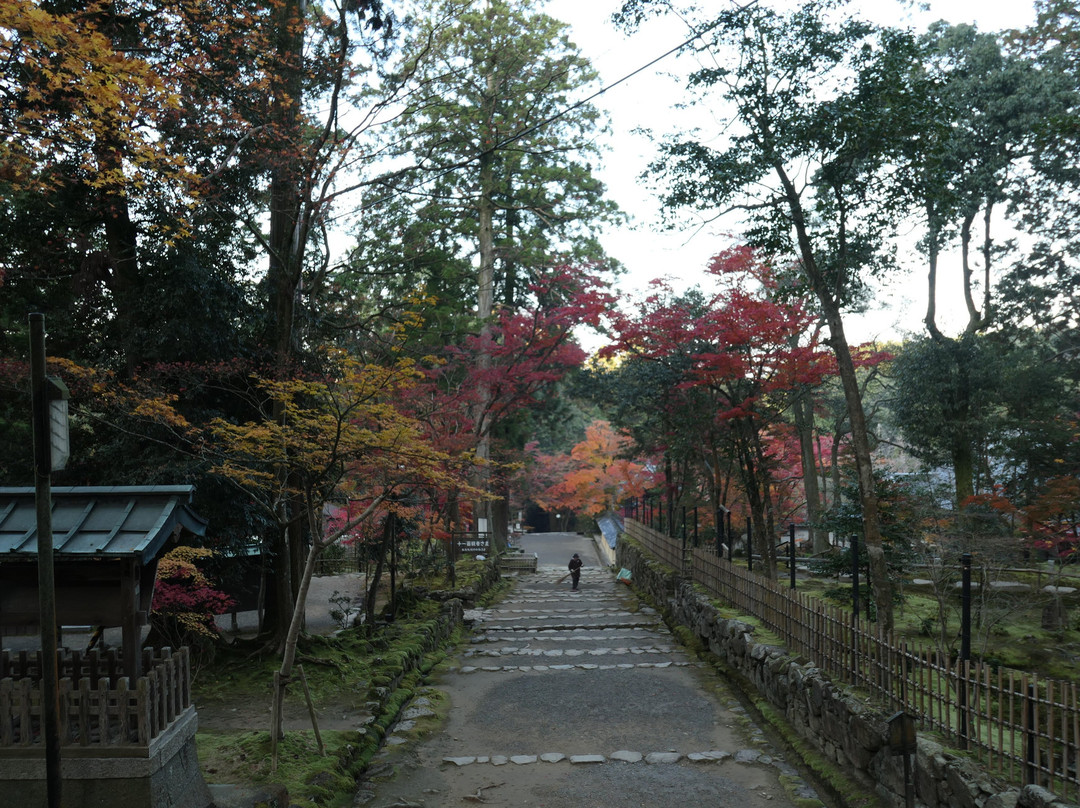 Saimyo-ji Temple Omotesando-甲良町必去景点