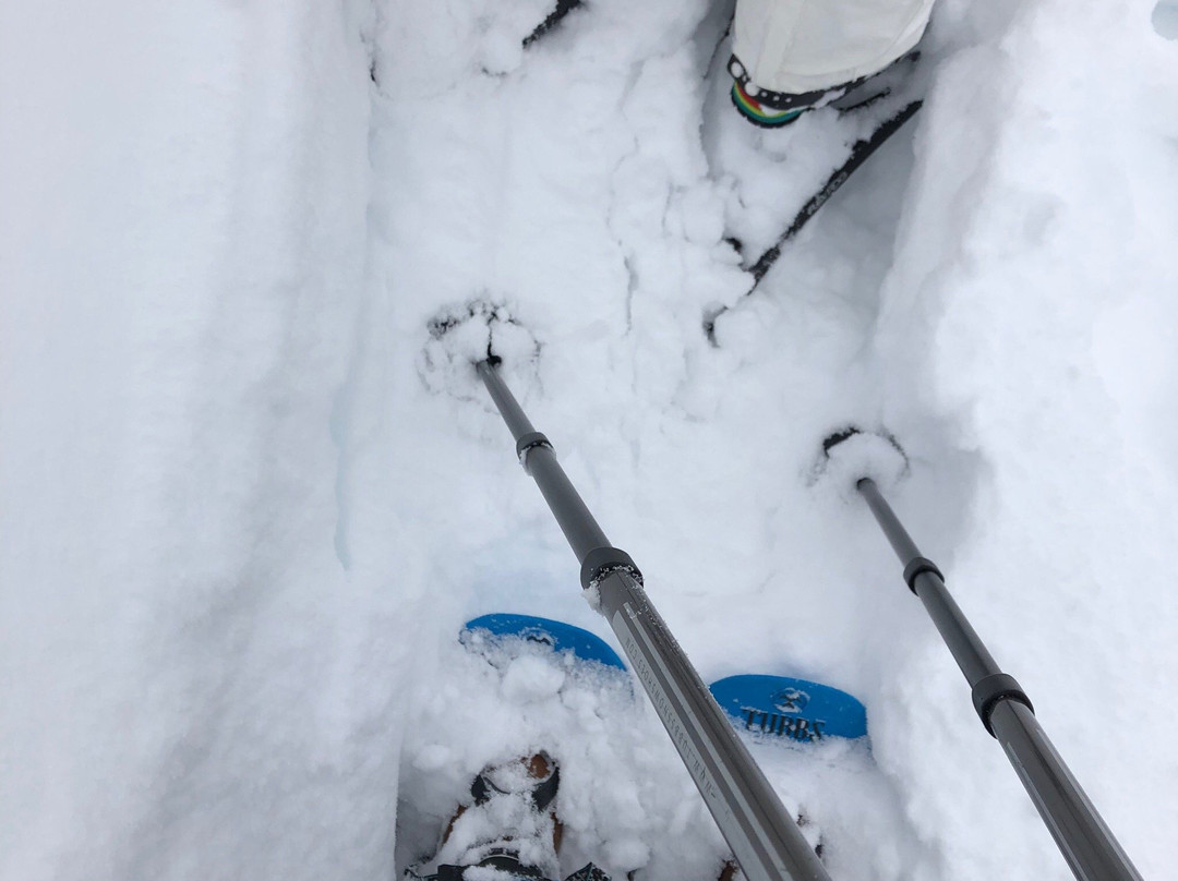 Skischule Bogei Filzmoos-菲尔兹摩斯必去景点