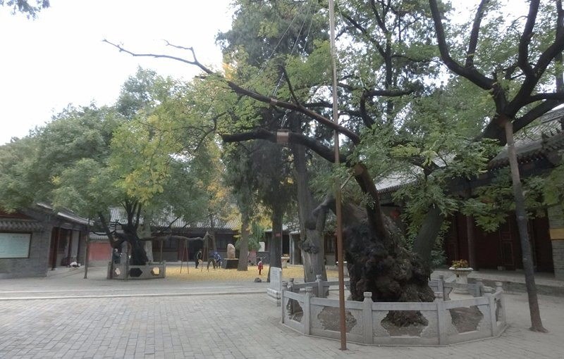 定州文庙-定州市必去景点