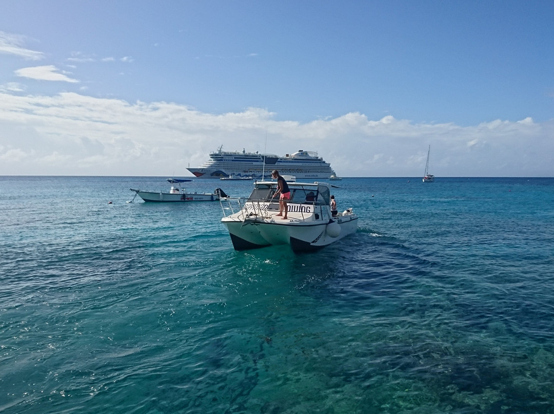 SPE Dive School-Chevy Chase必去景点