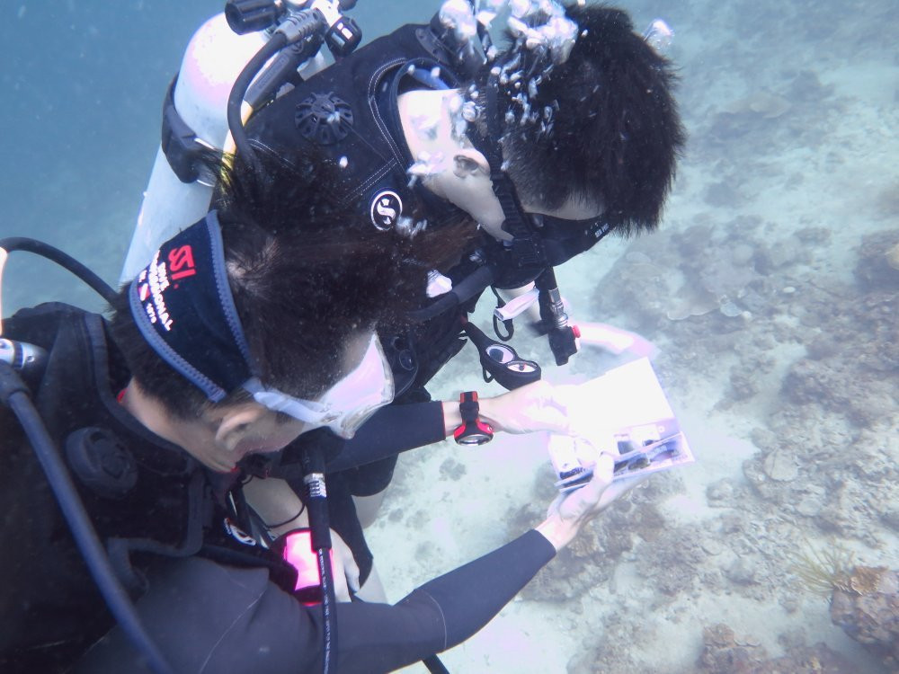 Like Sabah Holiday-亚庇必去景点