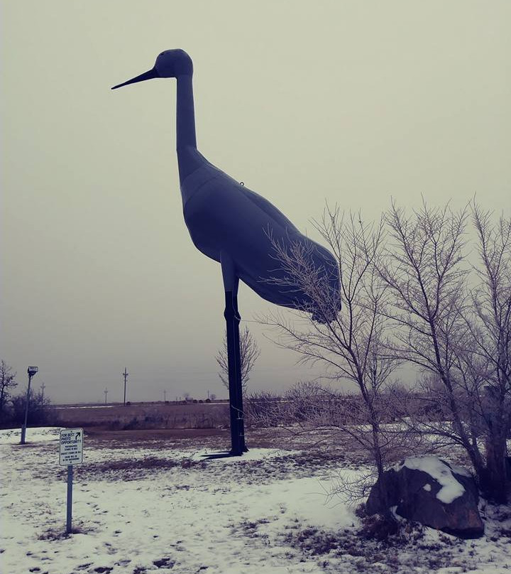 World's Largest Sandhill Crane景点图片