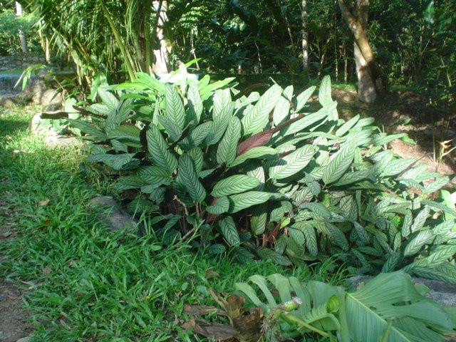 EcoLodge "La Bonita"主图